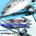 Daiwa Neostage DG B
